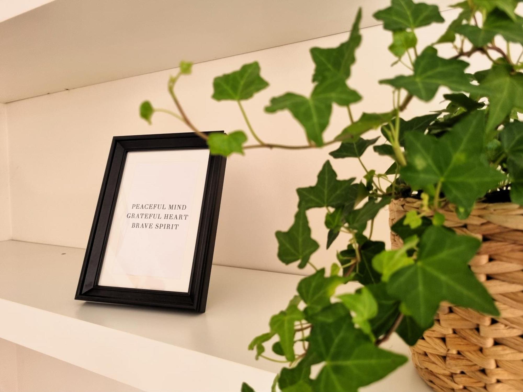 Relais Cassia Rome - Parking, Wi-Fi & Barbecue Villa Екстериор снимка